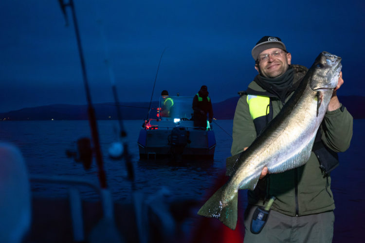 Nachtfischen auf Pollack