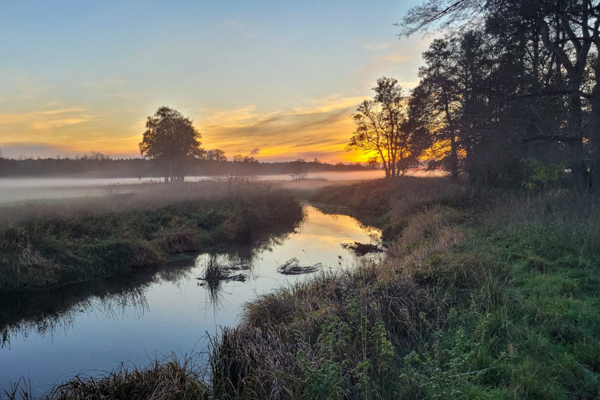 Stepenitz im Morgengrauen. Der Fluss in Brandenburg ist Heimat zahlreicher Fischarten und weiterer heimischer Tiere.