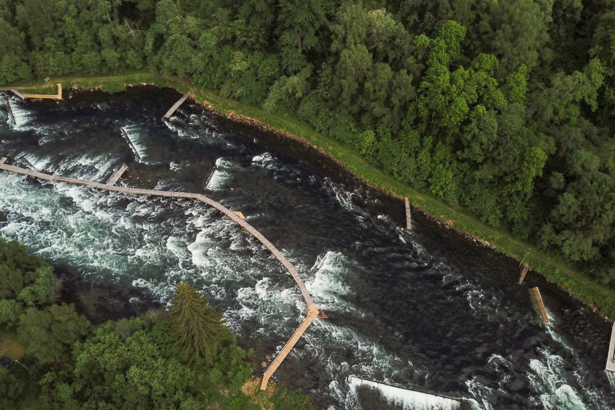 Ist das nicht …? Richtig! Die Stege und Plattformen machen diesen Fluss unverkennbar. Es ist der Årøyelva, ein Fluss, über den schon Charles Ritz geschrieben hat.