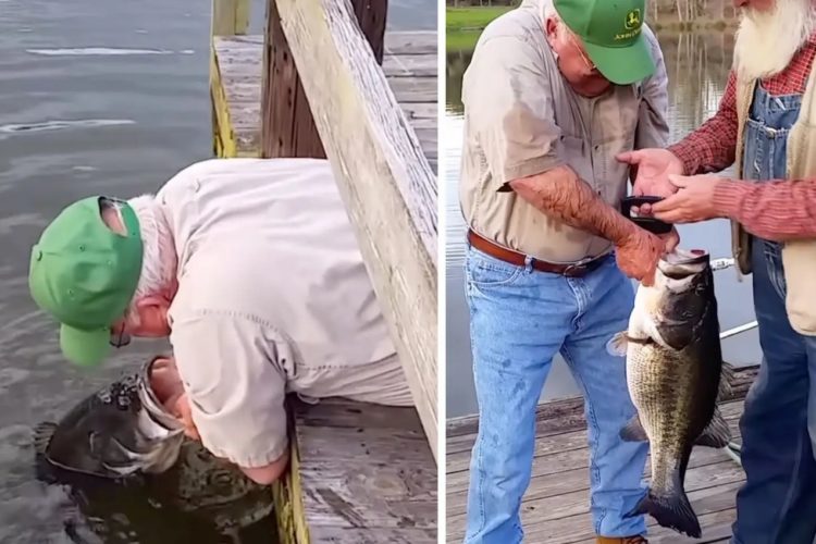 Der Teich von Robert Earl Woodard aus Alabama ist voll von großen Barschen. Er fängt die Fische mit der Hand.