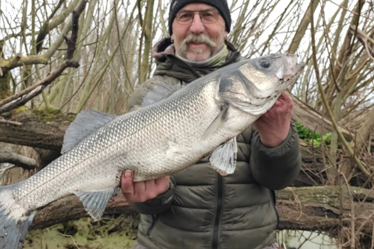 John Cady mit seinem fast 5 kg schweren Wolfsbarsch.