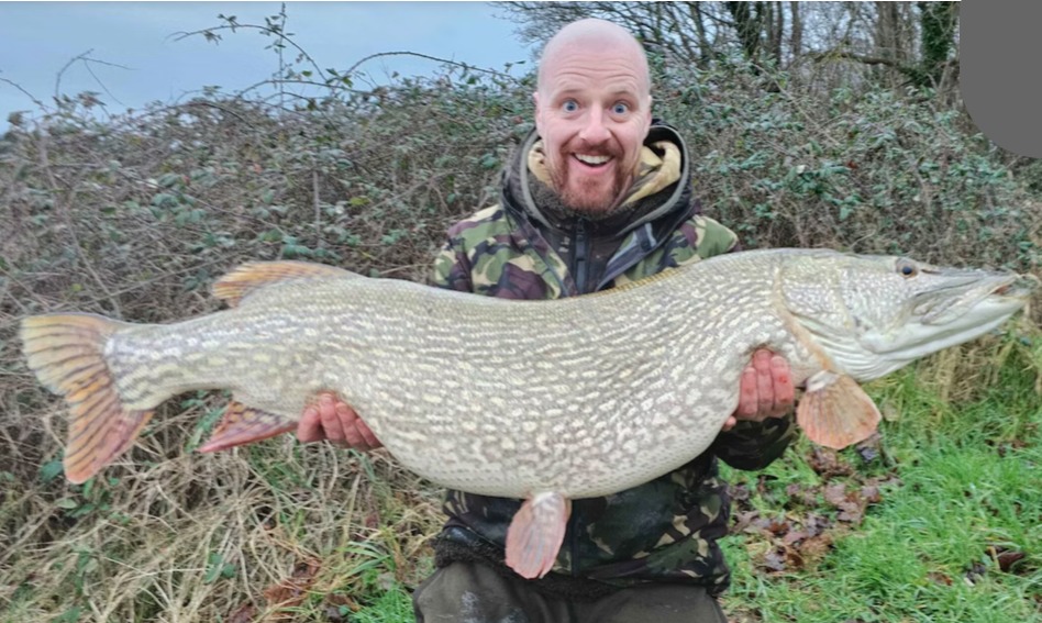 Über 20 Kilo: Dieser Hecht ist neuer britischer Rekord! - BLINKER