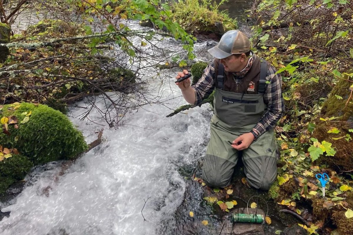 Biologe an einem bedrohten Salmoniden-Gewässer