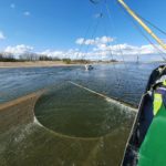 Bei der Bestandsaufnahme in der Waal fanden die Angler einige unerwartete Fische.
