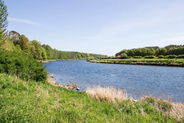 Der River Tweed im englischen Northumberland. Kein einziger englischer Fluss befindet sich in einem „guten“ Zustand.