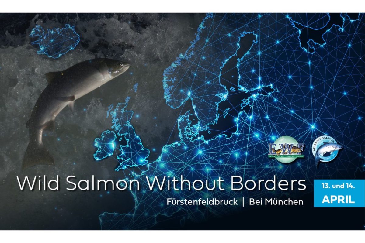 Wild Salmon Without Borders auf der EWF