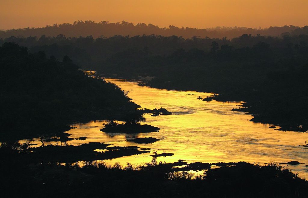 Wenn der Amazonas (hier der Xingu, einer seiner Nebenflüsse) über die Ufer tritt, ziehen Piranhas und andere Fische in den Regenwald.