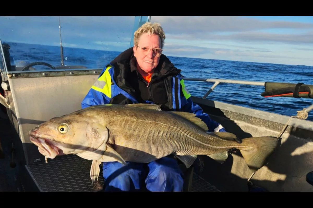 Mit einer Länge von 133 cm ist der Skrei von Sabine Amarell ein wahrer Riese.