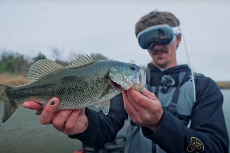 Fische live beim Beißen zusehen? Mit moderner Technik ist das möglich – aber vielleicht nicht unbedingt sinnvoll.