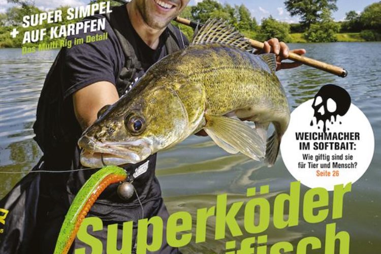 Blinker 06/2024: Zander mit Gummifisch überlistet