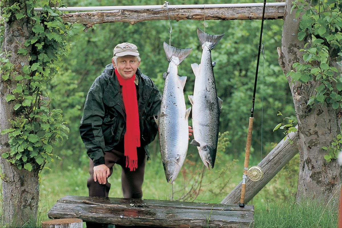 Lachs bedroht: Norwegischer Angeltourismus unter Druck - BLINKER
