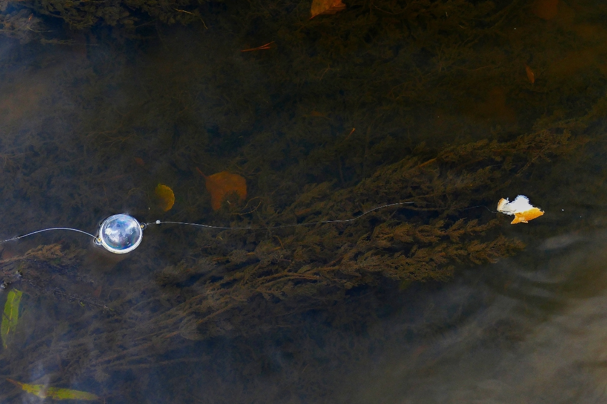 Wasserkugelmontage mit Schwimmbrot