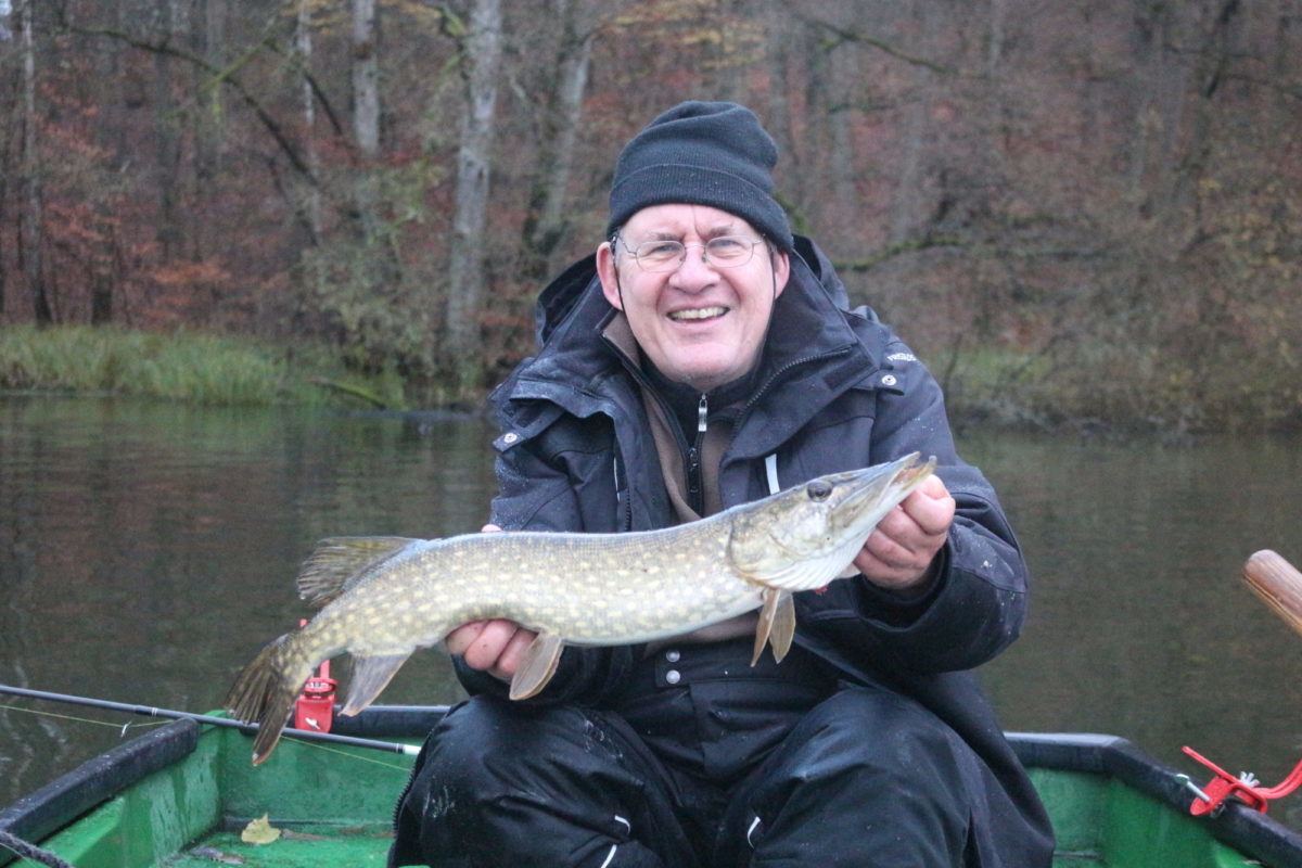 Das Original fängt am besten Hecht mit gezupftem Köfi BLINKER