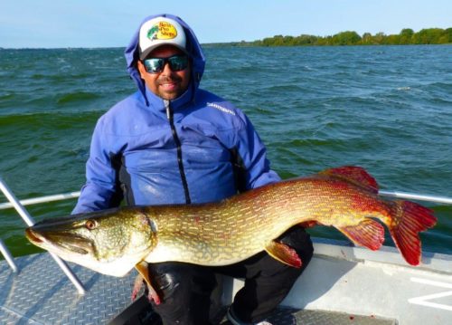 Hecht angeln. Die 8 größten gefangenen Riesen-Raubfische - einer ...