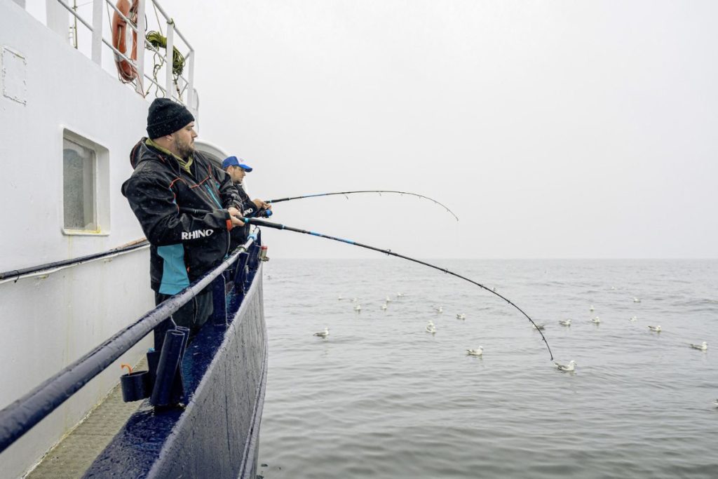 fahren-fischen-fangen-angelsafari-auf-der-d-nischen-nordsee
