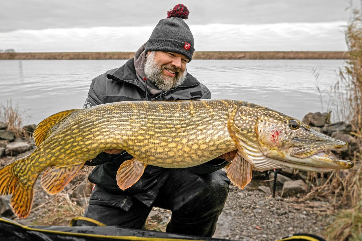 Hecht angeln im Dezember mit Deadbait