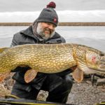 Hecht angeln im Dezember mit Deadbait