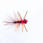 October Caddis