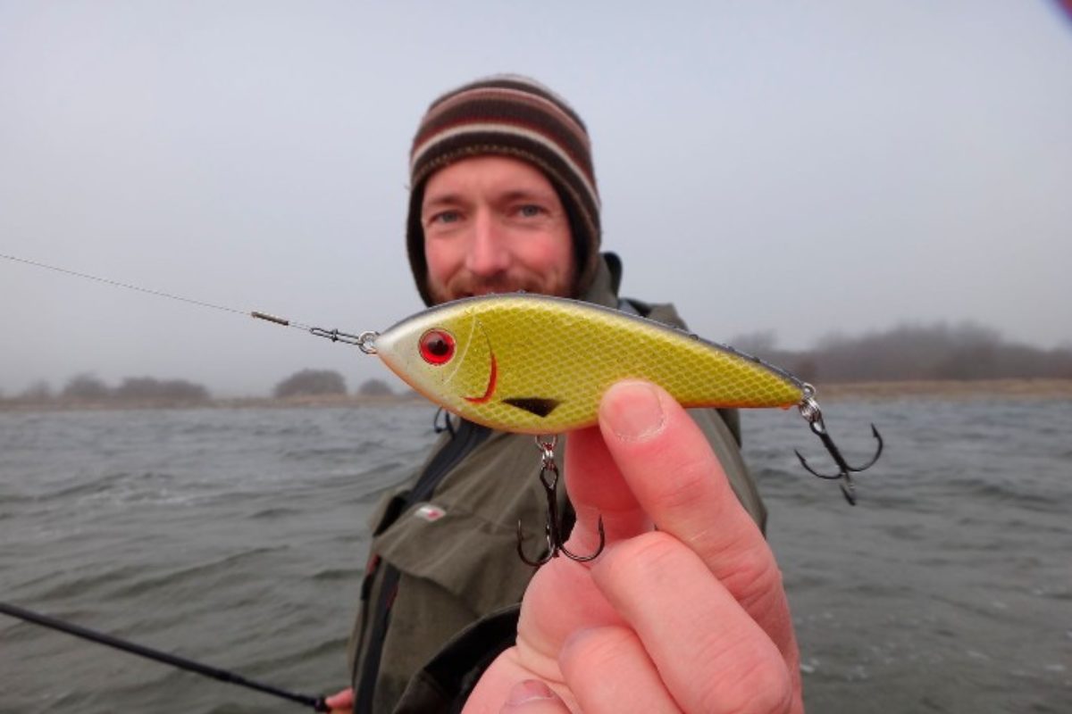 Angler mit Jerkbait