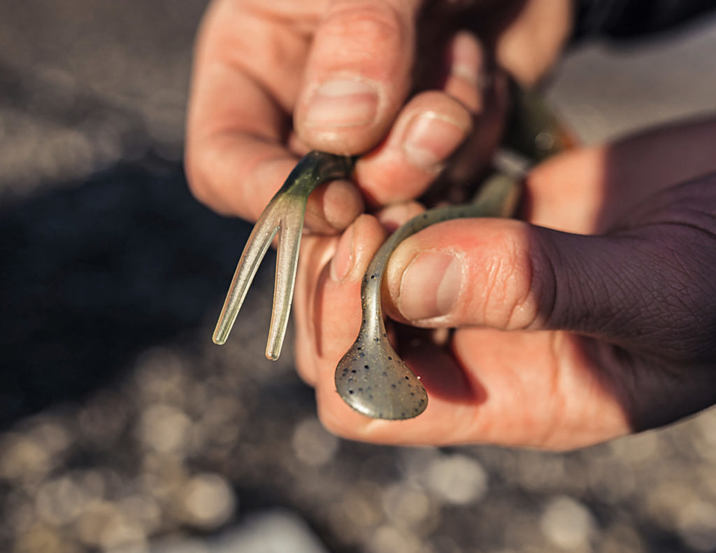 Gummifischschwänze für Zander, ein V-Tail und ein Paddle Tail