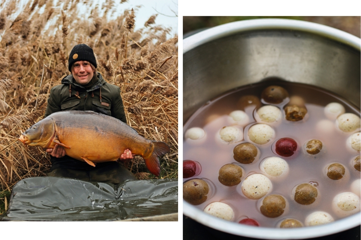 Karpfenangeln im Winter: Boilies brühen