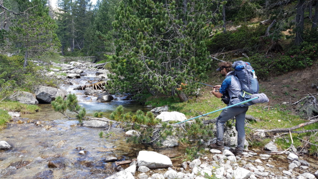 Salmo Trak