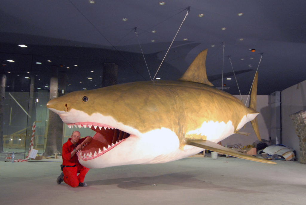 Megalodon