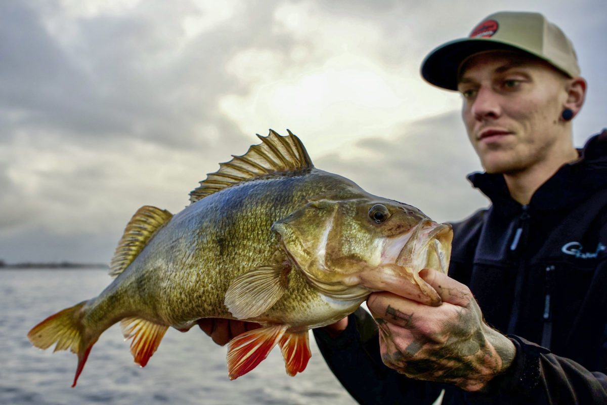 Barsch beim Angeln im März gefangen