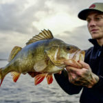 Barsch beim Angeln im März gefangen