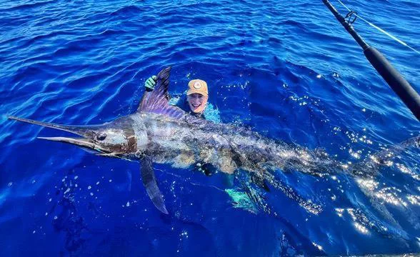 gestreifter Marlin