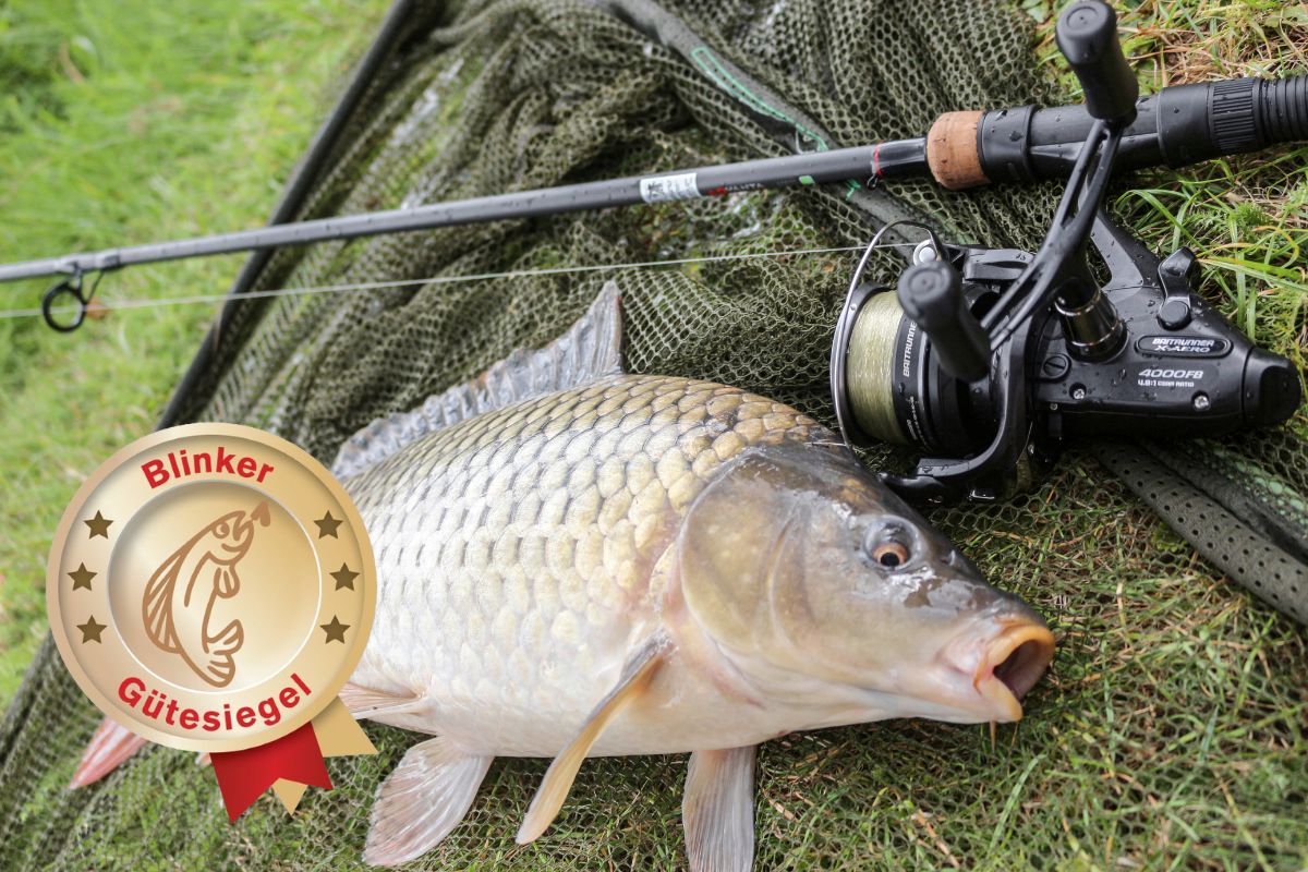 Moulinet Shimano Baitrunner X-Aero 4000 FB – Frein Avant, 5 Roulements, 8 Kg De Frein, 415 G