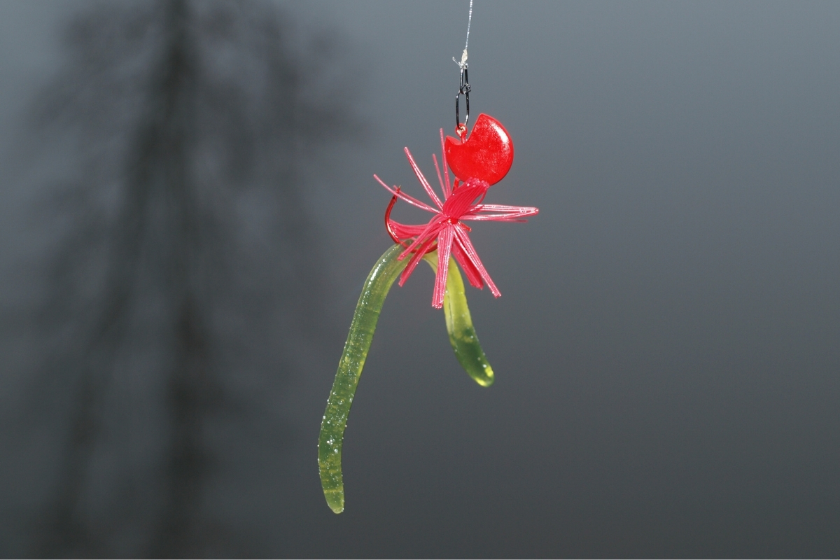 Beim Angeln im Februar mit der Wacky-Montage auf Forelle