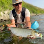 Angler mit Rapfen, der auf einen Chartreuse-Weißen Streamer an der Fliegenrute gebissen hat