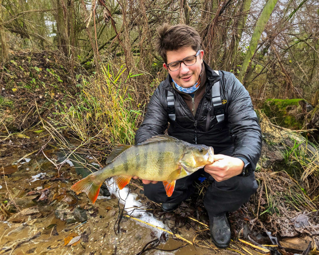 Angler im Winter, er trägt eine Wathose, mit großem Barsch in der Hand