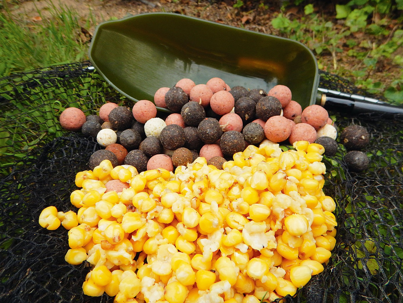Boilies und Mais