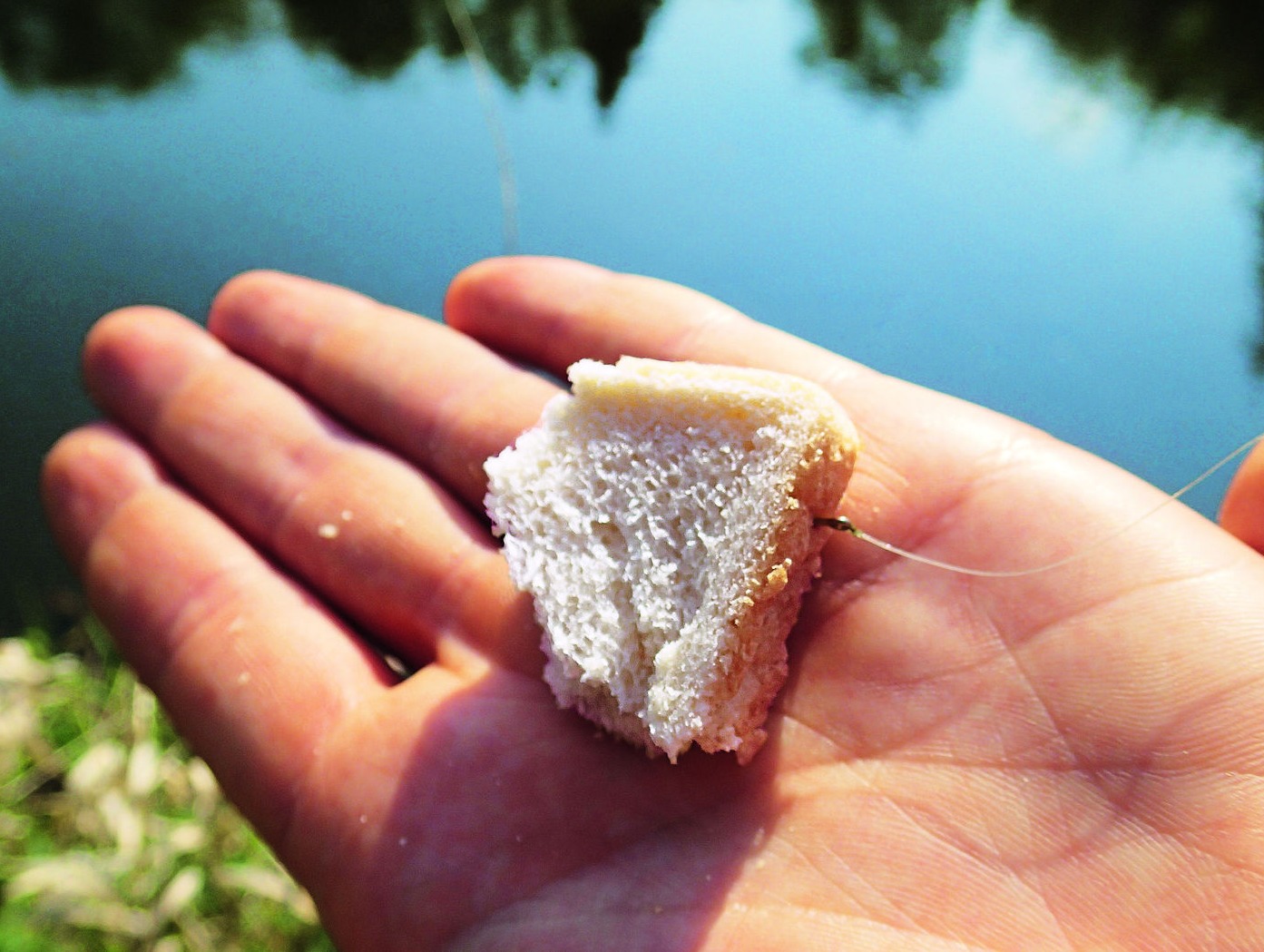 Schwimmbrotangeln: Toast am Haken