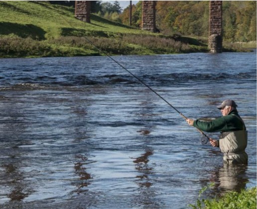 Fliegenfischer am Tweed