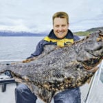 Heilbutt, Norwegen, neue Schonzeiten