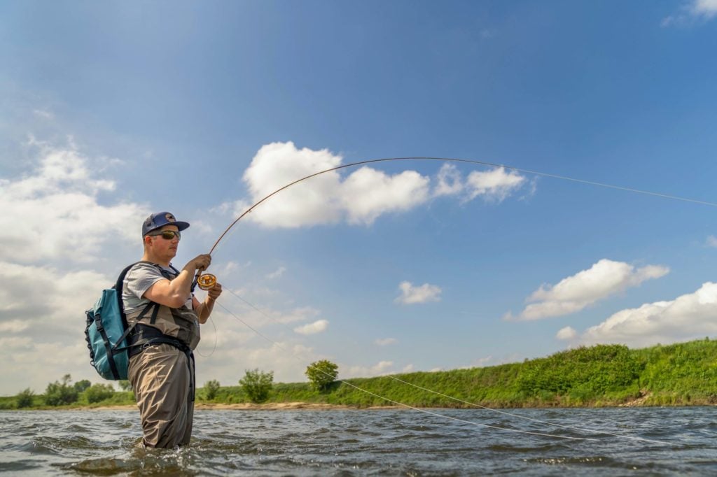 Angler mit Wathose drillt einen starken Fisch an der Fliegenrute