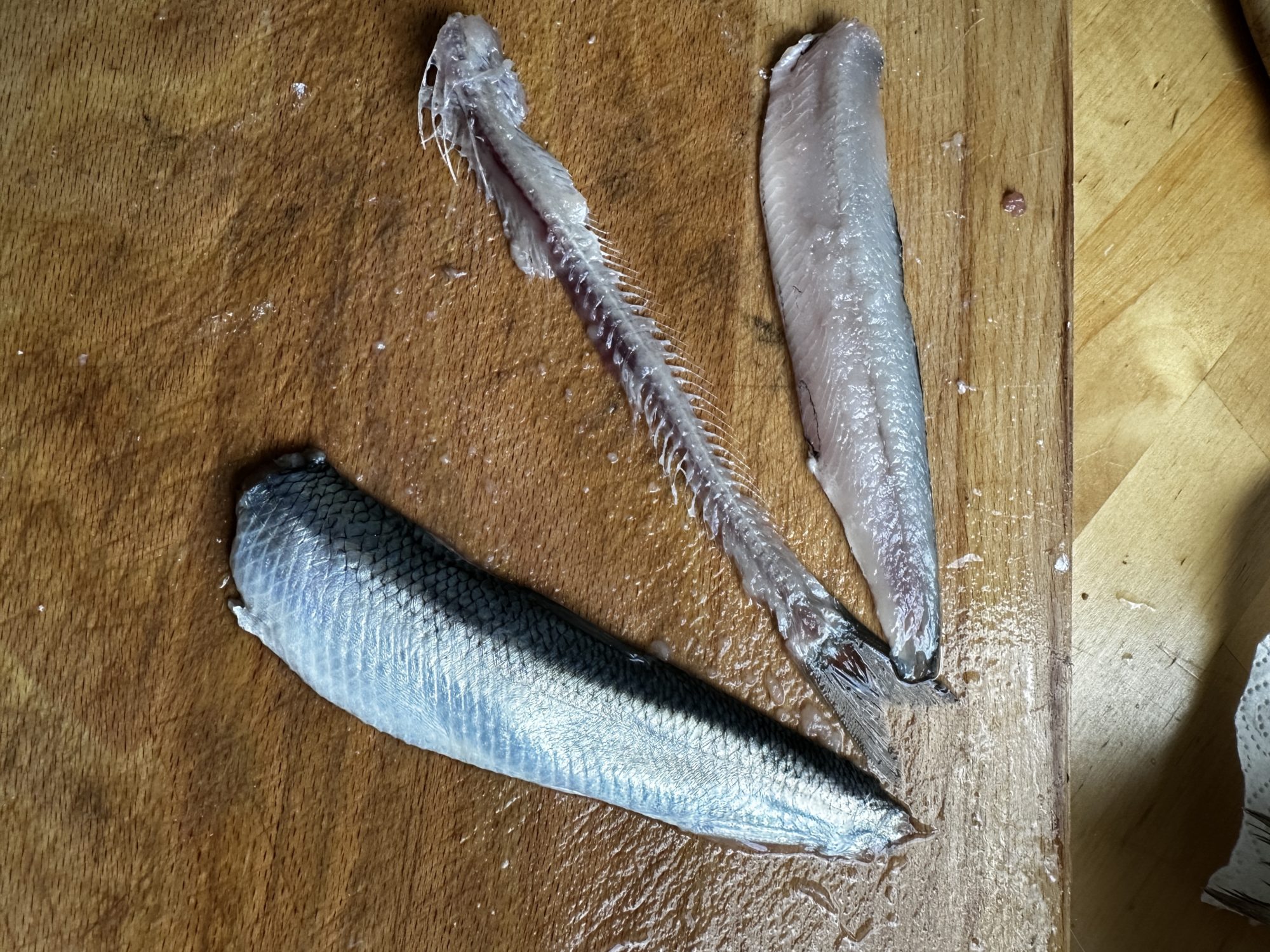 Matjes Herstellung