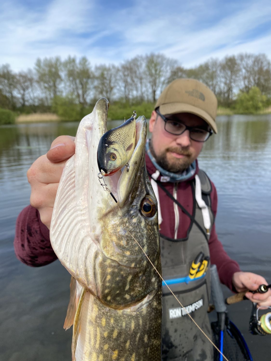 Jerkbait Hecht