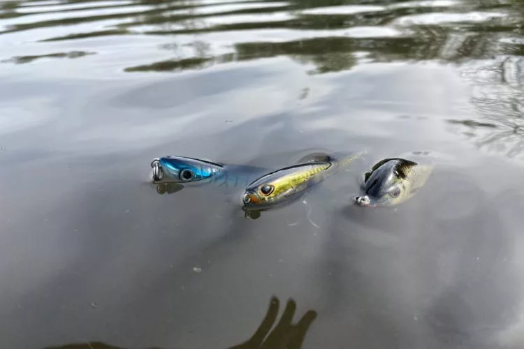 Flach laufende Hechtköder