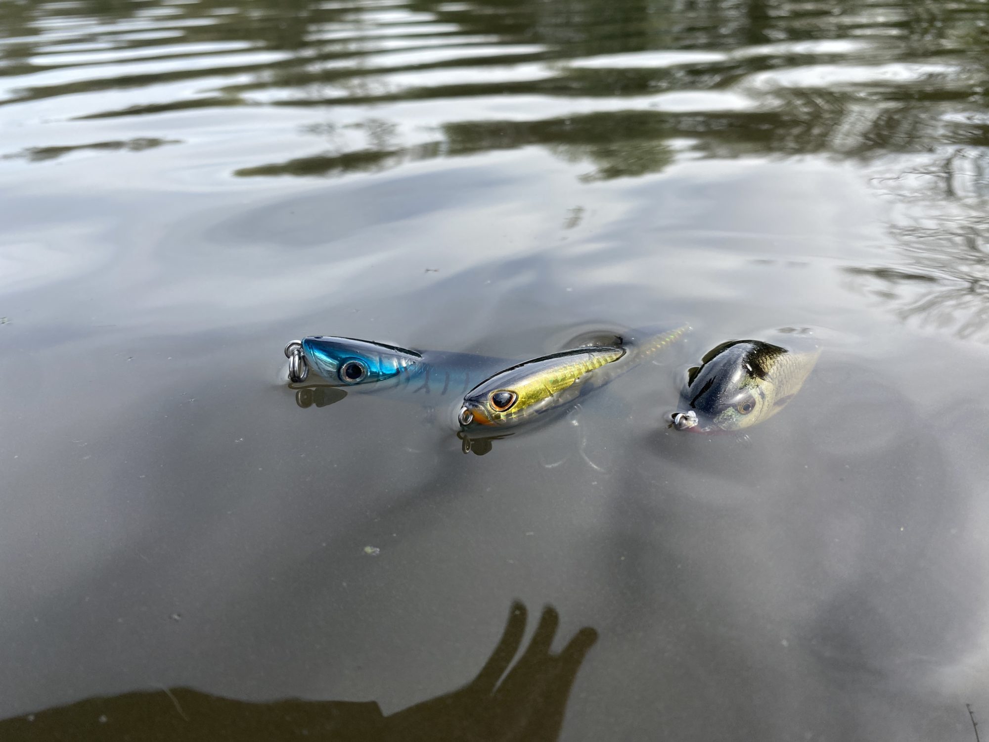 Flach laufende Hechtköder