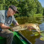 Angler mit großem Hecht im Boot, im Hintergrund ein Seerosenbeet