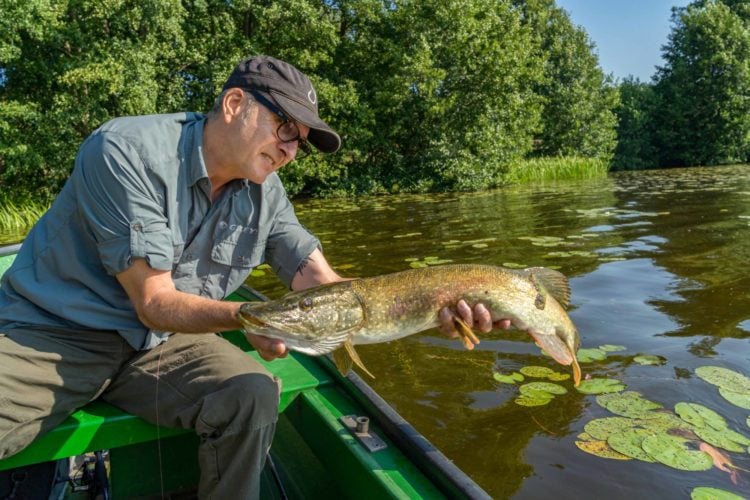 Angler mit großem Hecht im Boot, im Hintergrund ein Seerosenbeet