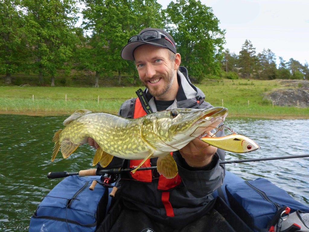 Angler mit Hecht im Bellyboot in Schweden, der Fisch hat auf einen Westin Swim Jerkbait gebissen