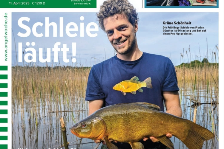 Cover der Angelwoche 09/2025: Schleie läuft!