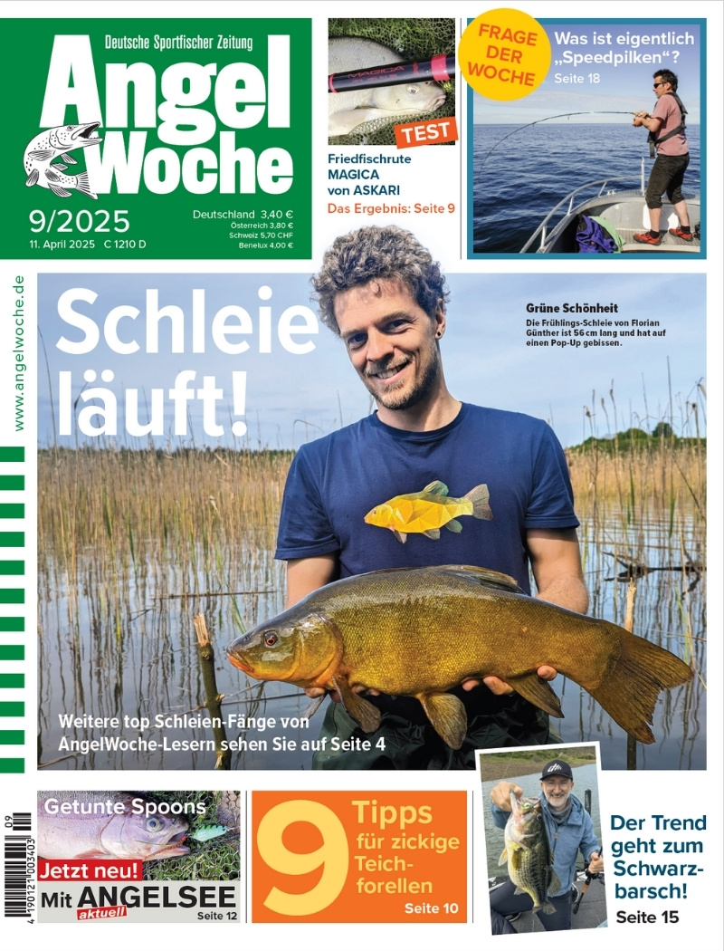 Steckbrief Quappe Wie erkenne ich sie und wie fange ich diesen Fisch?