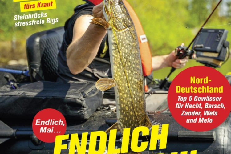 Blinker 05/2025: Endlich Raubfisch!