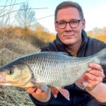 Döbel mit Angler